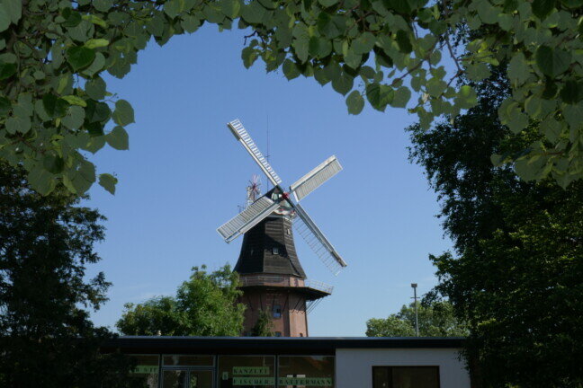 Mühle Rheiderland